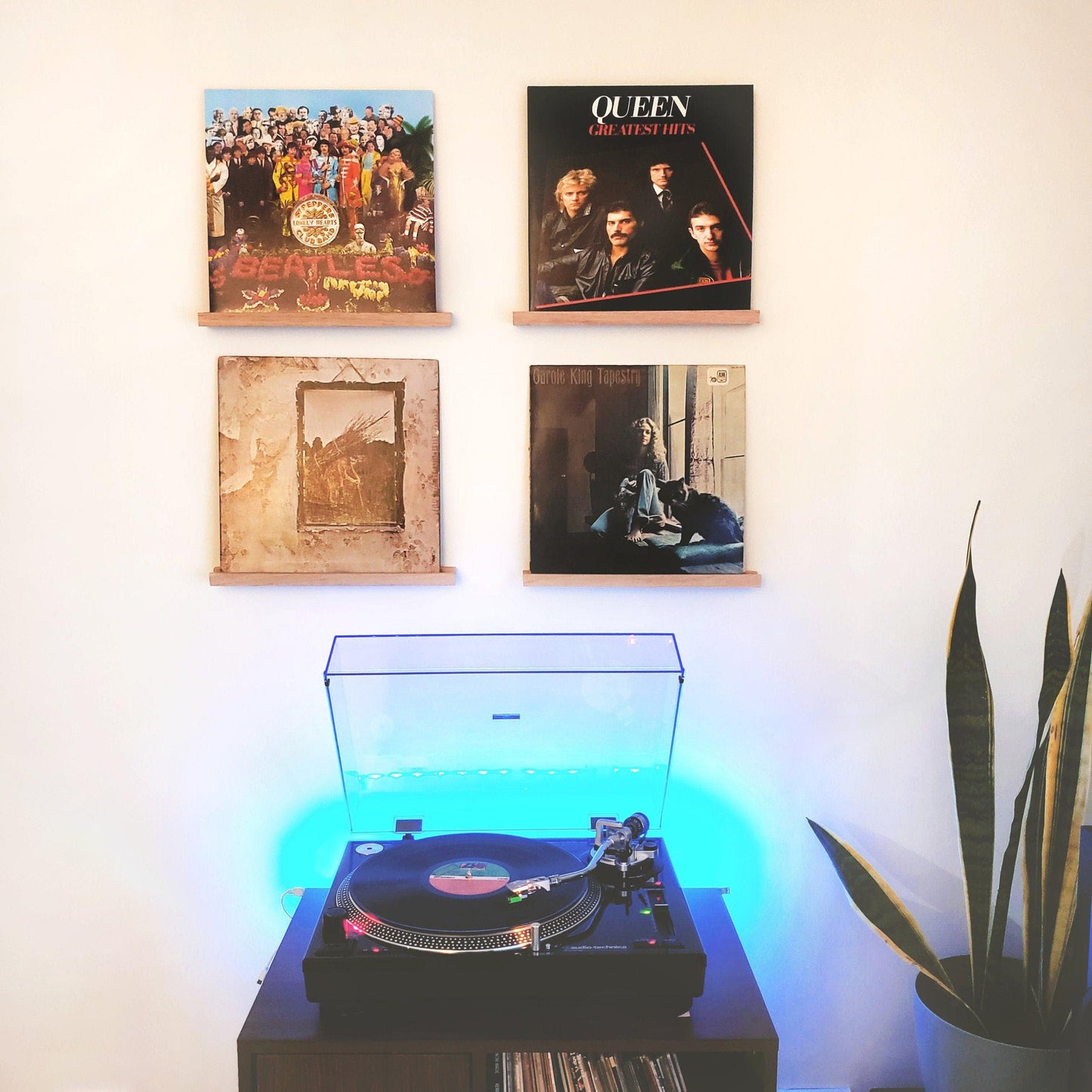 Vinyl Record Display Shelf - Woodyoubuy
