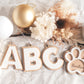 Family Christmas Ornament (Initial)- White Christmas, Letter Christmas Ornament, White Alphabet Ornament, Scandi Christmas Ornament